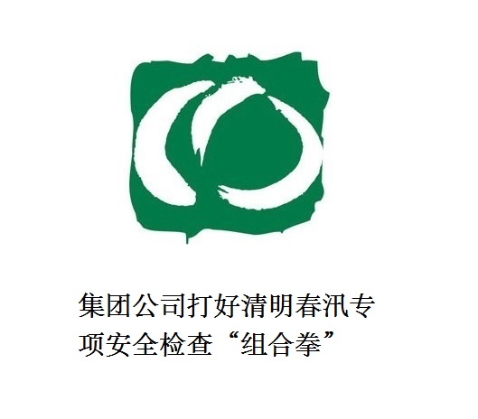 集團(tuán)公司打好清明春汛專項(xiàng)安全檢查“組合拳”